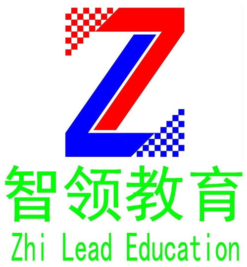 寶雞市智領(lǐng)教育咨詢 專業(yè)賦能，點(diǎn)亮未來